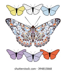 Set of butterflies isolated on white background. Vector illustration.