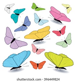 Set of butterflies isolated on white background. Vector illustration.
