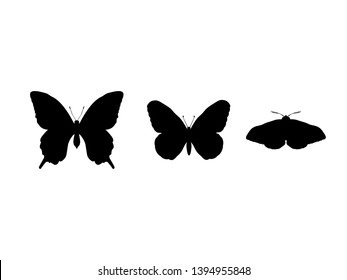 Set butterflies and moth insect black silhouette animal. Vector Illustrator.