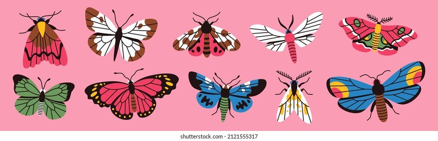 Set of butterflies and moths. Insects collection. Trendy colorful flat design. Cartoon style. Vector illustration. Pink background.