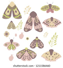 Set of butterflies and moths which can be used as separate elements in flat
