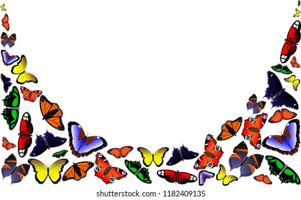 Set of butterflies on a white background
