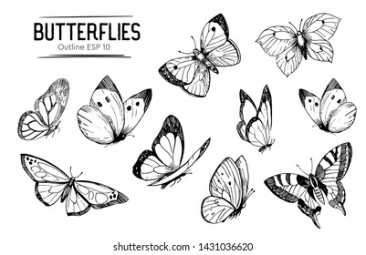 Set of butterflies outlines. Hand drawn illustration converted to vector