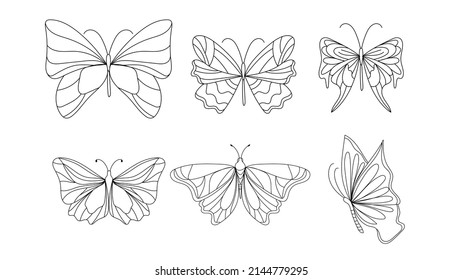 Set of butterflies outlines. Hand drawn illustration converted to vector .isolated on white background ,Vector illustration EPS 10