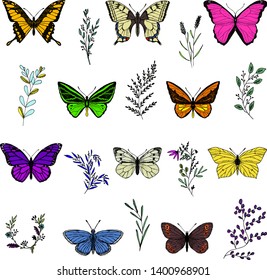 Set of butterflies and plants. Vector cartoon illustration. Isolated objects on a white background. Hand-drawn style.
