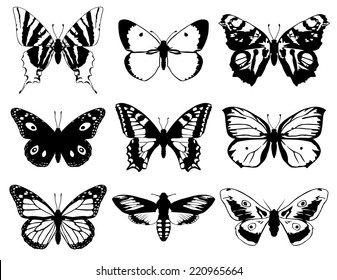 Set butterflies silhouette and open wings 