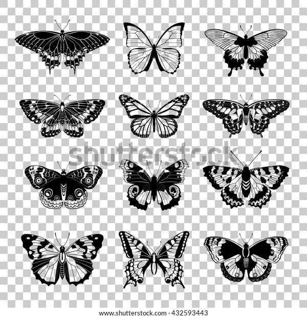 蝶のシルエット 透明な背景に蝶のアイコン ベクターイラスト のベクター画像素材 ロイヤリティフリー
