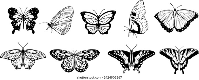 Set of butterflies silhouettes drawing on isolated background. Hand drawn butterfly vector illustration.