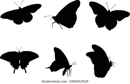 set of butterflies silhouettes illustration. Animal wildlife hand drawn in vector