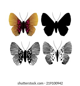 set of butterflies. Vector