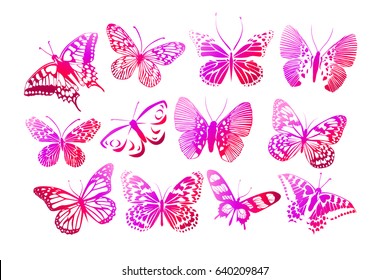 Set of butterflies. Vector