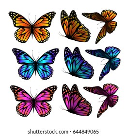 Set of butterflies. Vector