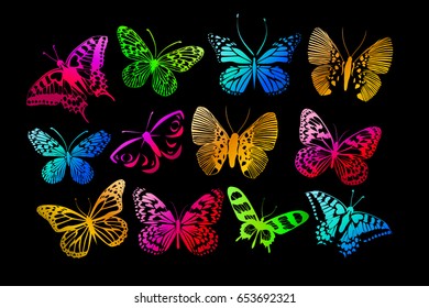 Set of butterflies. Vector