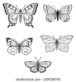 Set of butterflies. Vector cartoon illustrations. Isolated objects on a white background. Hand-drawn style.