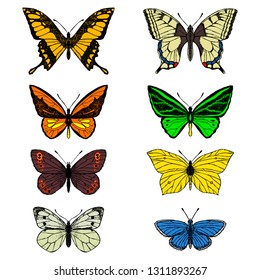 Set of butterflies. Vector cartoon illustrations. Isolated objects on a white background. Hand-drawn style.