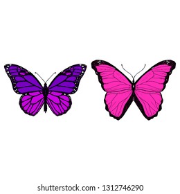 Set of butterflies. Vector cartoon illustrations. Isolated objects on a white background. Hand-drawn style.