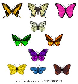 Set of butterflies. Vector cartoon illustrations. Isolated objects on a white background. Hand-drawn style.