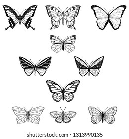 Set of butterflies. Vector cartoon illustrations. Isolated objects on a white background. Hand-drawn style.