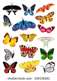 A set of butterflies, vector illustration