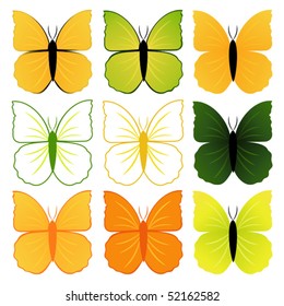Set of butterflies. Vector objects isolated for Your design