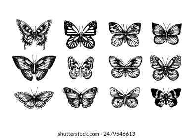 Set of butterflies vector sketch. Hand drawn illustration of insects with painted by black inks on isolated background. Monochrome graphic drawing in line art style for design, logo, tattoo, card 