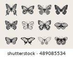 Set of butterflies. Vector vintage classic illustration. Black and white