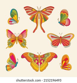 Set butterflies. Vector vintage classic illustration. Colorful.
