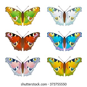Set butterfly