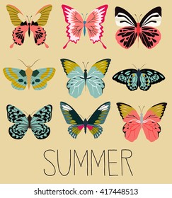 Set of butterfly
