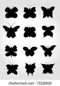 Set Butterfly