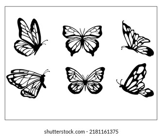 Set Butterfly Black And White Illustration White Background 