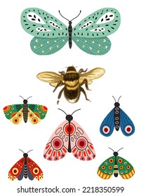 Set of Butterfly , cartoon vector image