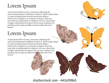 set of butterfly different type of beautiful butterfly on white background for object for book or website design vector illustration,moth set