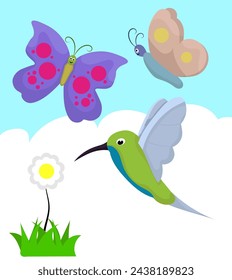 set butterfly and humingbird with sky background