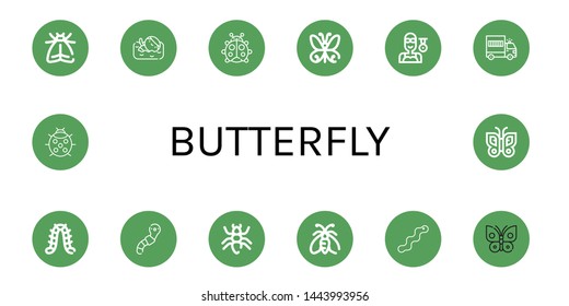 Set of butterfly icons such as Moth, Swimmer, Ladybug, Butterfly, Prisoner transport vehicle, Caterpillar, Worm, Ant , butterfly