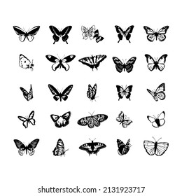 
Set of butterfly icons. white background. Simple animal vector illustration.