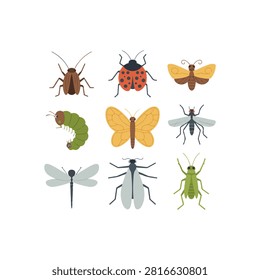 A set of butterfly and insect