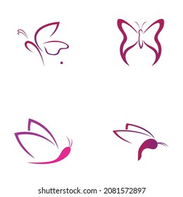 set of  Butterfly  logo Vector icon design