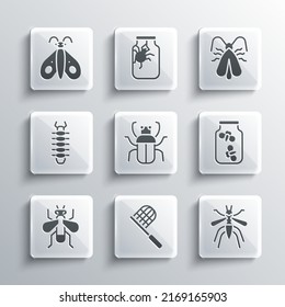 Set Butterfly net, Mosquito, Fireflies bugs in a jar, Stink, Insect, Centipede,  and Clothes moth icon. Vector