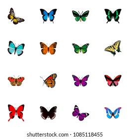 Set of butterfly realistic symbols with agrias claudina, precis almana, monarch and other icons for your web mobile app logo design.