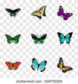 Set of butterfly realistic symbols with beauty fly, tiger swallowtail, precis almana and other icons for your web mobile app logo design.