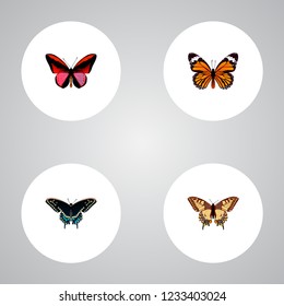 Set of butterfly realistic symbols with checkerspot, danaus plexippus, agrias claudina and other icons for your web mobile app logo design.