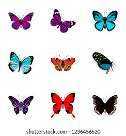 Set of butterfly realistic symbols with demophoon, striped purple crow, precis almana and other icons for your web mobile app logo design.