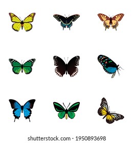 Set of butterfly realistic symbols with green peacock, beauty fly, checkerspot and other icons for your web mobile app logo design.