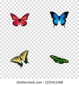 Set of butterfly realistic symbols with pink-wing, birdwing, polyommatus icarus and other icons for your web mobile app logo design.