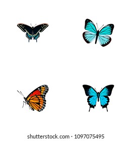 Set of butterfly realistic symbols with sky animal, demophoon, painted lady and other icons for your web mobile app logo design.