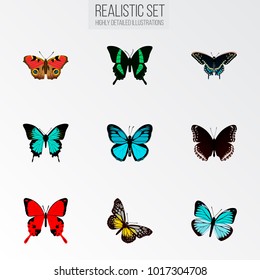 Set of butterfly realistic symbols with spicebush, precis almana, papilio ulysses and other icons for your web mobile app logo design.