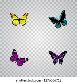 Set of butterfly realistic symbols with striped purple crow, yello-wing, summer insect and other icons for your web mobile app logo design.