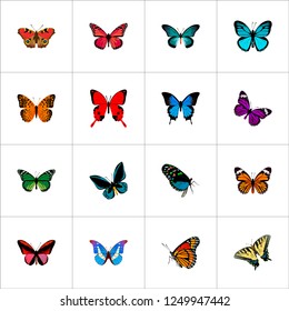 Set of butterfly realistic symbols with tailed-blue, agrias claudina, tiger swallowtail and other icons for your web mobile app logo design.