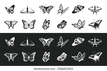 Set of butterfly silhouette vector illustrations isolated on white and black